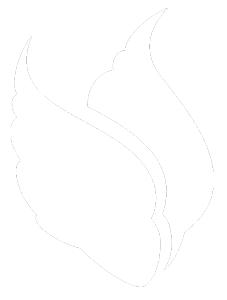 April Nites logo
